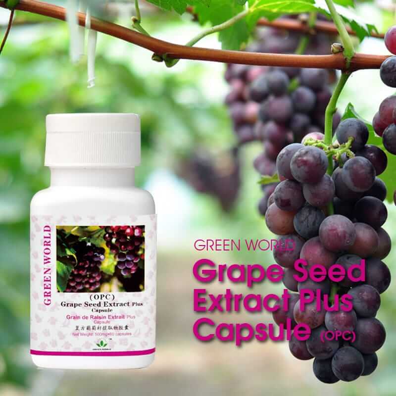 Grape Seed Extract Plus Capsule (OPC) - Green World